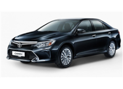 Бесштыревой блокиратор рулевого вала Гарант Форт для Toyota CAMRY 2016-2018 (с механической регулировкой рулевой колонки) Бесштыревой блокиратор рулевого вала Гарант Форт для Toyota CAMRY 2016-2018 (с механической регулировкой рулевой колонки)
